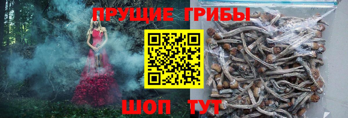 Псилоцибиновые грибы MAGIC MUSHROOMS Звенигород