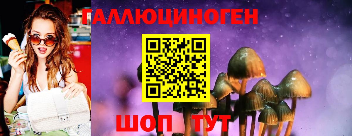 Звенигород  Псилоцибиновые грибы ЛСД  Вход с VPN 