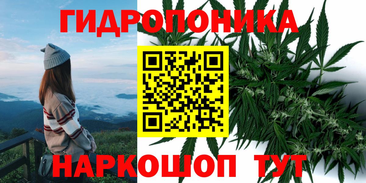 Конопля OG Kush Звенигород